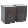 MadBoy® BONEHEAD-206 powered 6" karaoke speakers