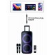 MadBoy TOTAL Battery-powered karaoke system with two wireless microphones
